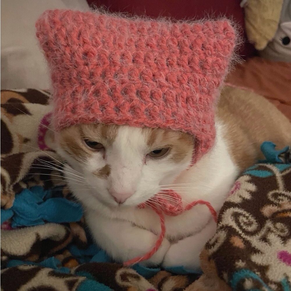 Pink and Purple Cat Clothing Accessory
